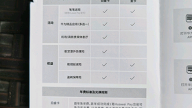 澳门新开奖记录，探索数字背后的幸运与奇迹新澳门开奖记录查询表2025