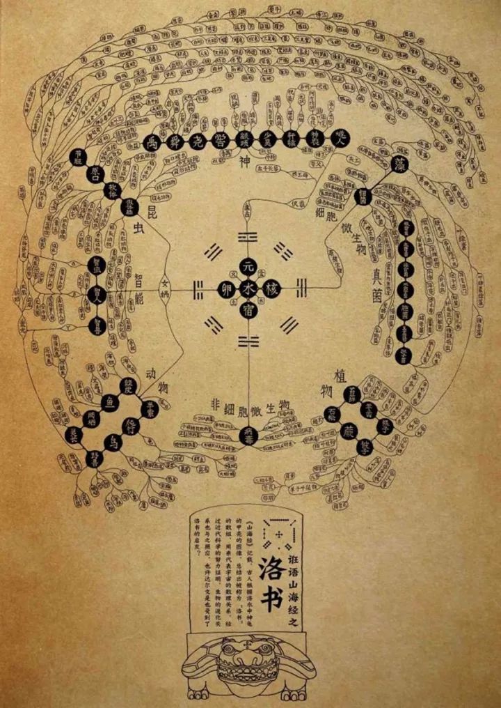 揭秘二四六图片玄机，字里行间的308个秘密二四六图片玄机资料文字