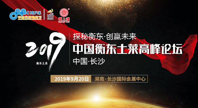 探秘神鹰报码聊天室，数字时代的神秘交流空间神鹰神鹰论坛挂牌
