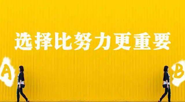 澳门精准一肖，揭秘背后的真相与警示故事—理性对待彩票的必要性探讨澳门精准一肖一码100准免费姿料