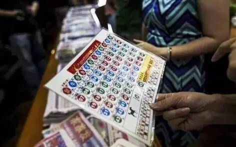 探索香港彩市新动向，揭秘今期开什么的奥秘香港今期开什么号码