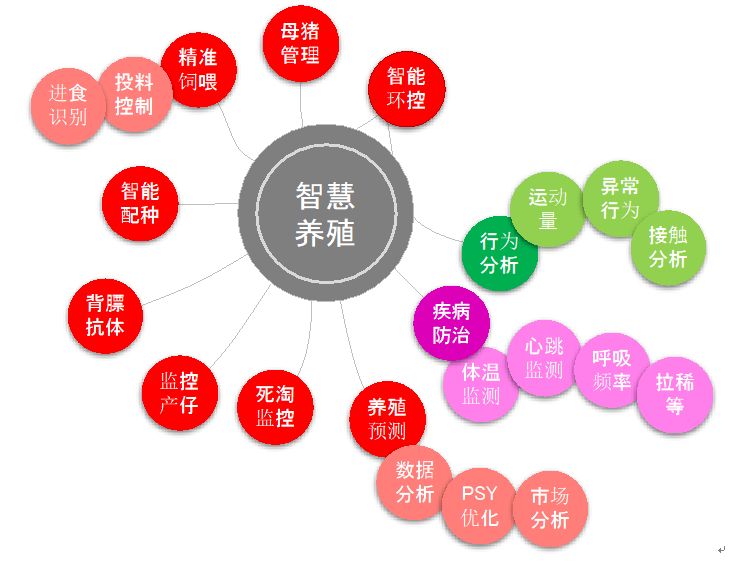 铁算盘，4872年的智慧与坚韧铁算算盘4887 论坛