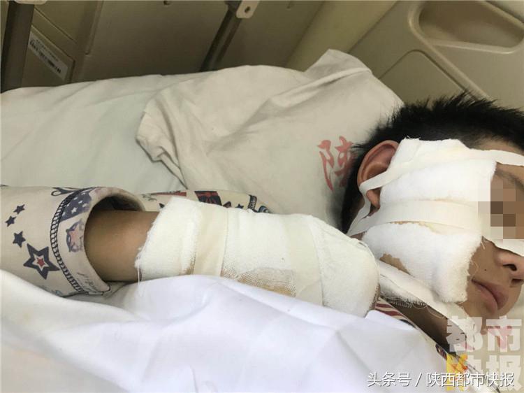 乐乐地带论坛，网络社区的温馨港湾乐乐游戏论坛
