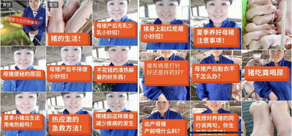 教育通知 第190页
