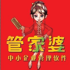 管家婆，正版图片大全的魅力与价值管家婆正版图片大全踏雪无痕