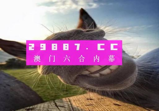 探索二四六1:8的魅力，揭秘精选资料图库二四六118精选资料图库图片