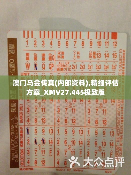 揭秘正版马会传真资料，合法、安全与高效的赛果预测工具正版马会传真资料+内部