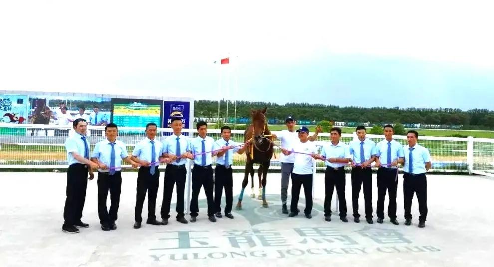 探索香港正版马会精选资料大全，揭秘赛马的智慧与魅力香港正版马会精选资料大全南方生肖有几个