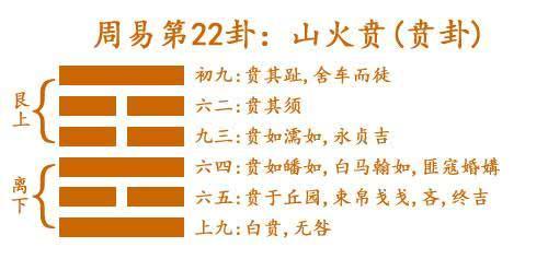 揭秘二四六玄机图，资料大全与深度解析二四六玄机图 资料大全特色
