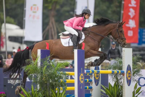 2019年香港马会免费资料，理性投注，享受赛马的乐趣香港内部马料免费资料下载