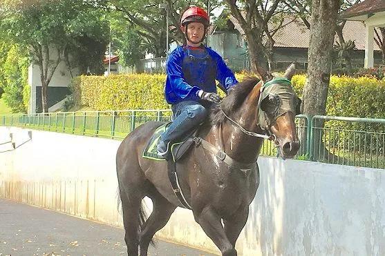 探索香港马会全年资料大全，历史、赛事与慈善的辉煌篇章香港2021年马会资料大全