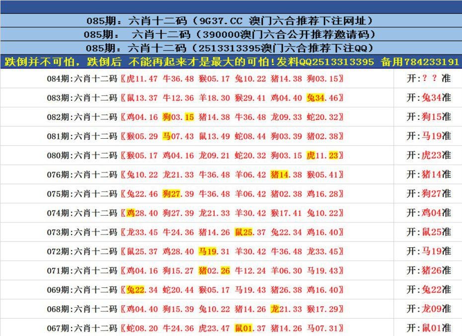 探索香港全港四肖八码精选资料的奥秘与风险香港四肖八码师网