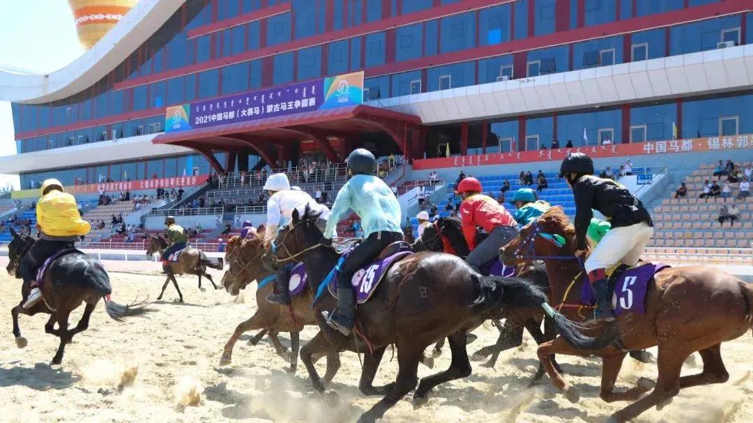 探索香港马会全年资料大全，赛马的激情与荣耀香港2021年马会资料大全