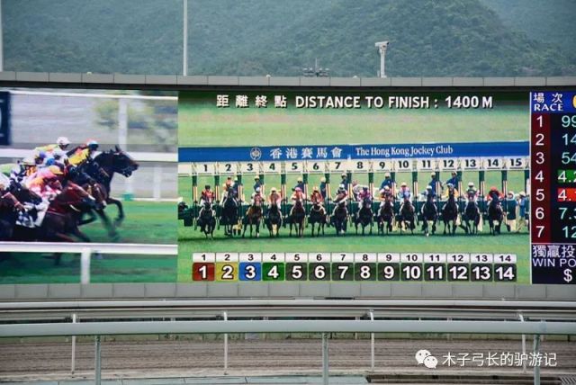 探索香港全年资料马会大全，赛马的激情与文化香港2021年马会资料大全