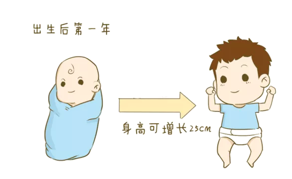 二肖与两码的奥秘—长期免费公开揭秘二肖二码免费期期准100