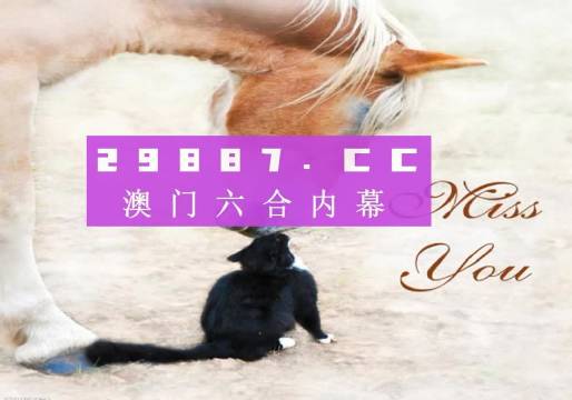 澳门彩今晚揭秘，49，一个数字的魅力与期待4949澳门今晚上开奖