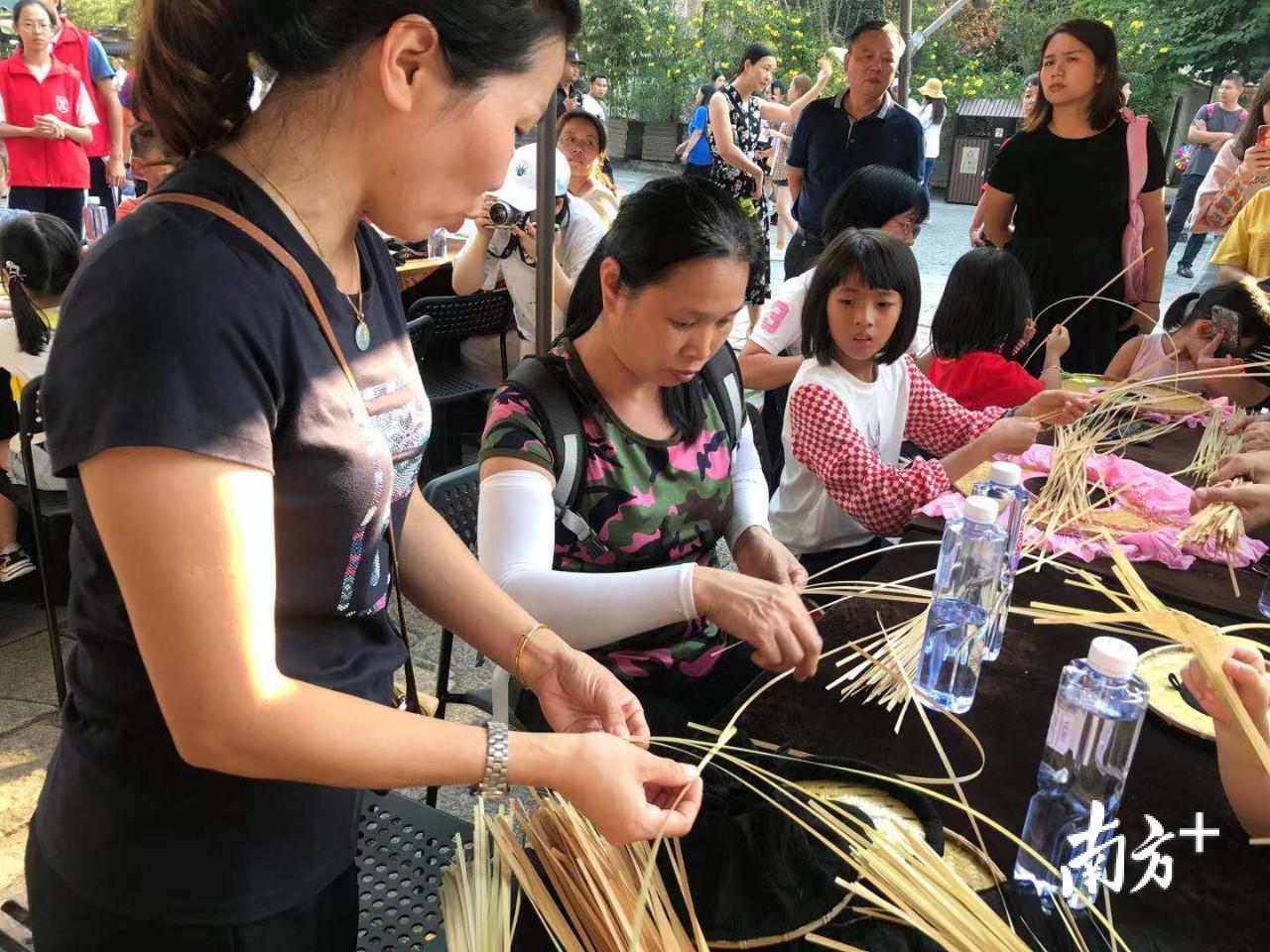 探索二肖3码的奥秘，解码数字背后的趣味与智慧1肖十2码