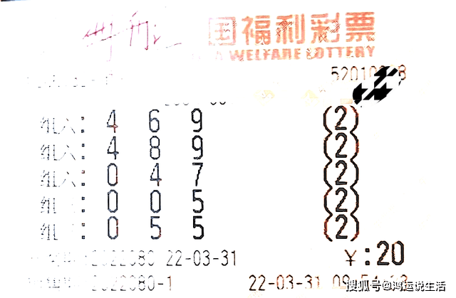探索2肖3码的奥秘，一种独特的选号策略2肖3码一码