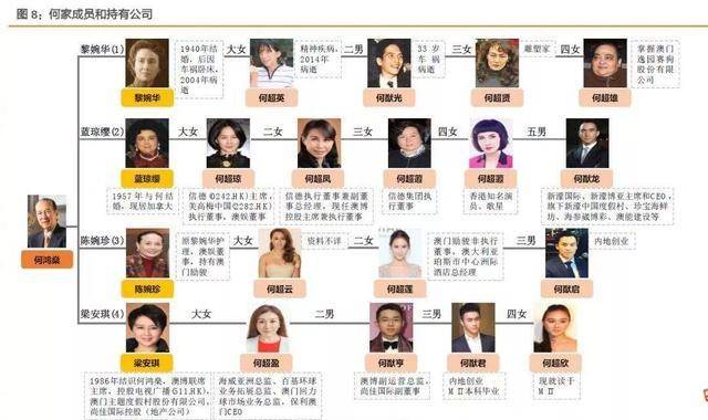 揭秘2046年今晚新澳开奖号码的神秘面纱—理性看待彩票与娱乐生活的关系探讨2024今晚新澳开奖号码直播