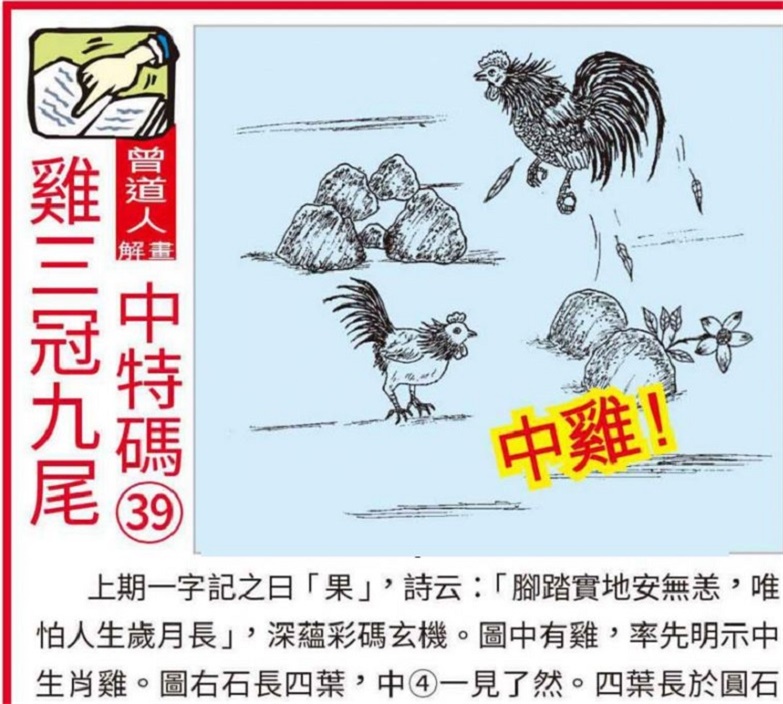 澳门正版马会精选资料大全，深度解析与理性投注指南澳门正版马会精选资料大全8 31