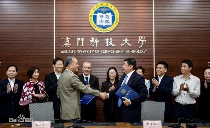 澳门六开彩，201年全年资料深度解析与回顾