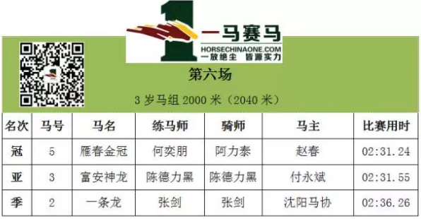 2019年马会免费资料，一场未雨绸缪的智慧盛宴2019年马会免费大全