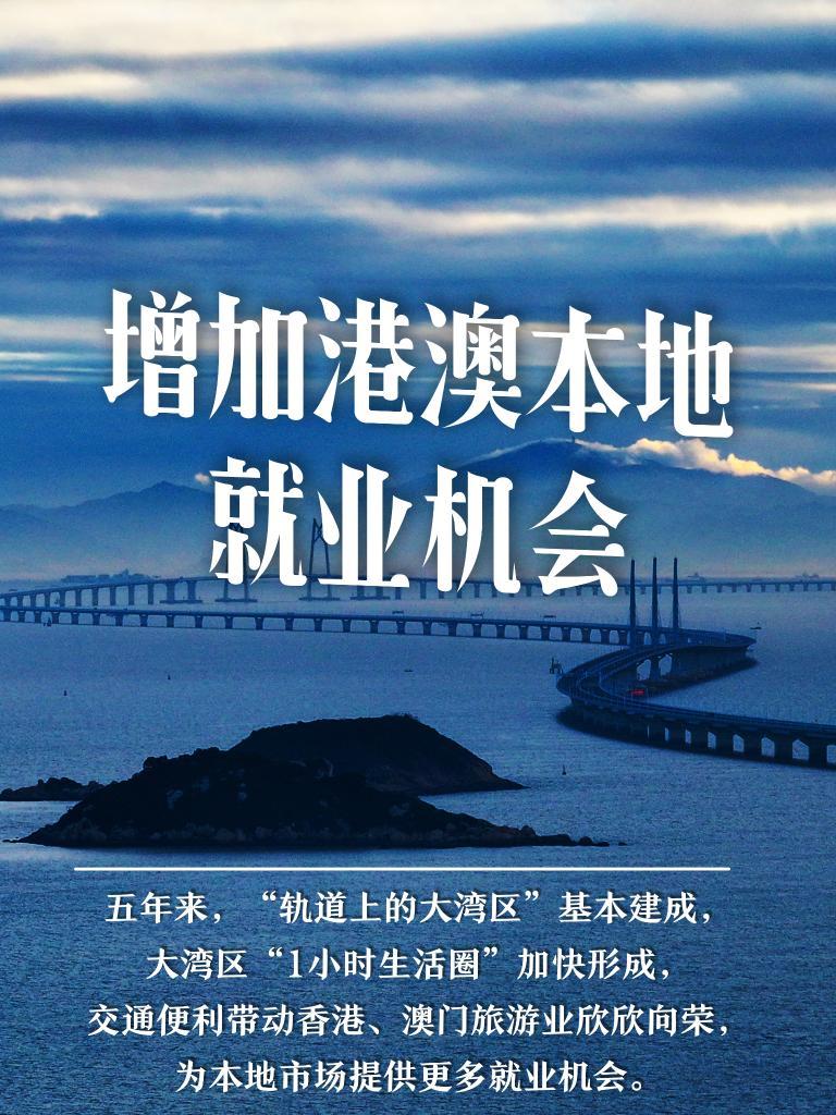 2036澳门资料大全，探索未来与机遇的免费完整指南2023澳门资料大全免费完整版269期
