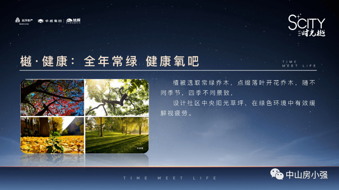 新澳2046管家婆资料—解析与使用指南