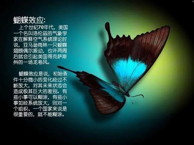 蝴蝶效应下的网络论坛，探索蝴蝶的数字翅膀蝴蝶论坛和幸福社区是一个怎么样
