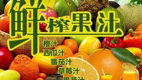 资料分享