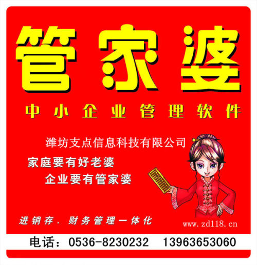 管家婆正版四不像图，解锁企业管理的全新维度管家婆正版四不像图片大全