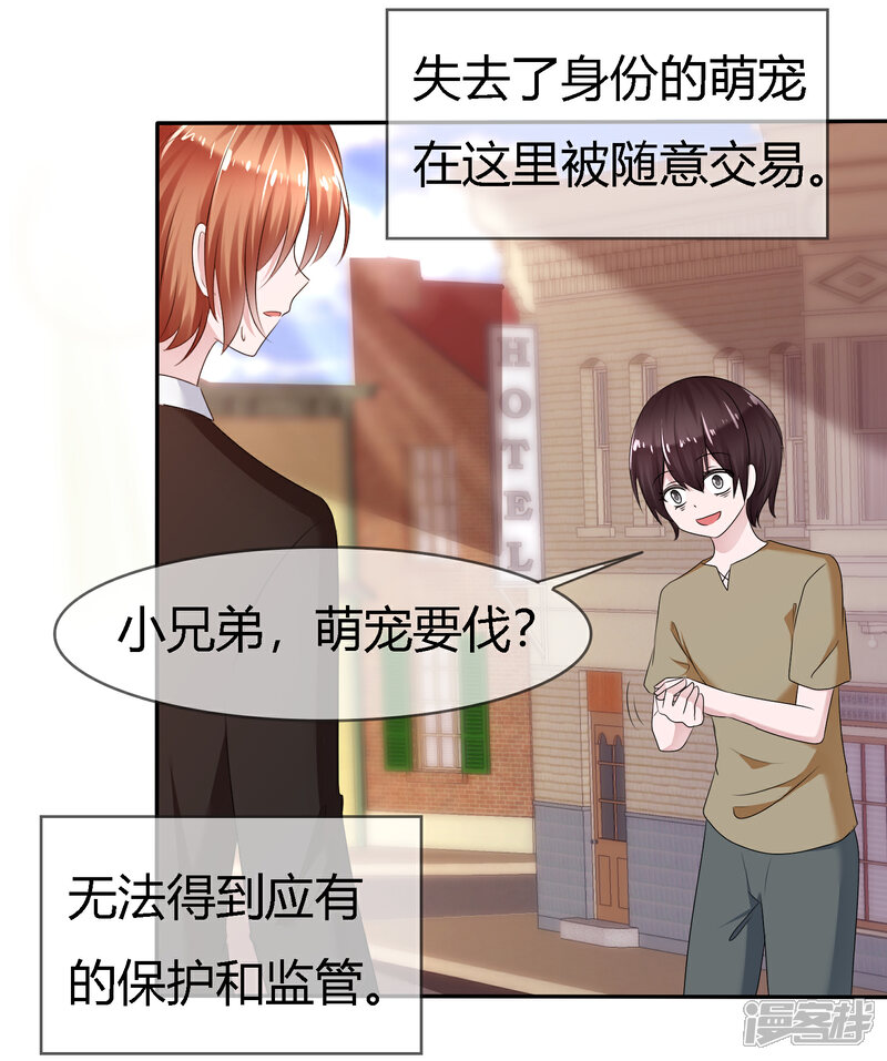 心跳恋爱社，青春的旋律与情感的交响曲心跳恋爱社麻秋秋到底喜欢谁