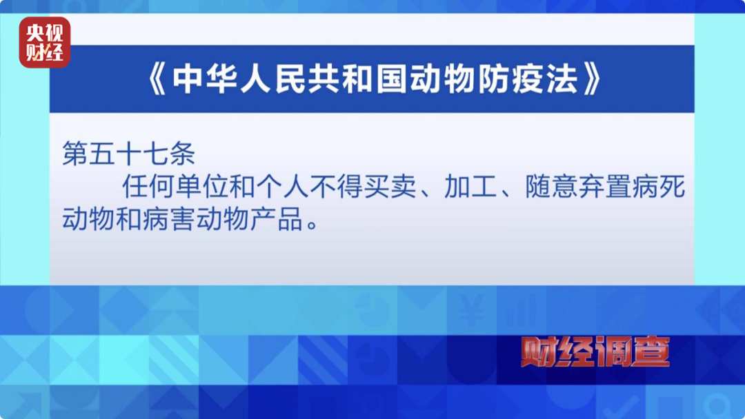 探索香港最快开奖现场直播，揭秘89号奖项的神秘面纱香港最快开奖现场直播开奖奖192922