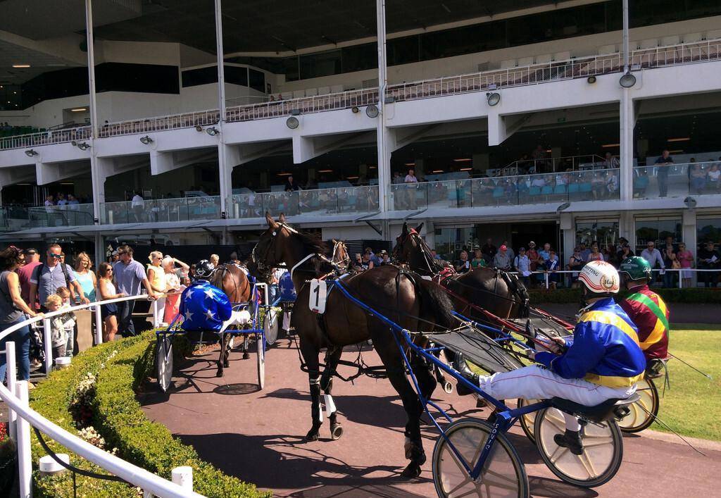 2019年马会正版香港资料大全，揭秘澳门赛马的精彩世界与投注策略指南马会正版香港资料大全一小