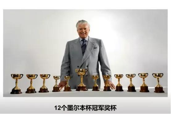 2019年香港马会资料大全，探索赛马的魅力与慈善的力量