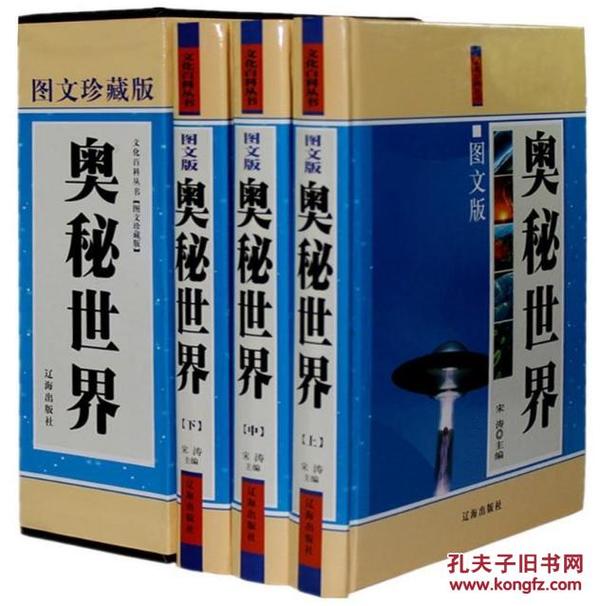 探索二四六天天好彩的奥秘，每期文字赕料解析