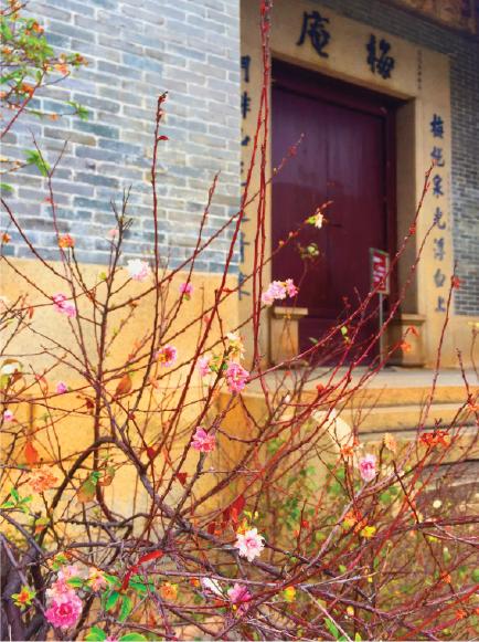 澳门近15期开奖记录，透视彩票市场的风云变幻澳门近15期开奖记录免费的
