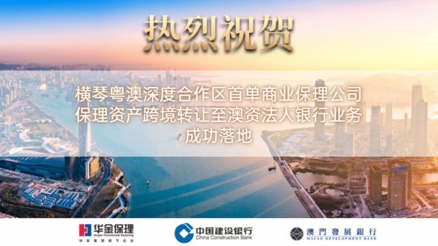 澳门新年度资料内部公开，全面透视与深度解析2021年澳门全年资料公开