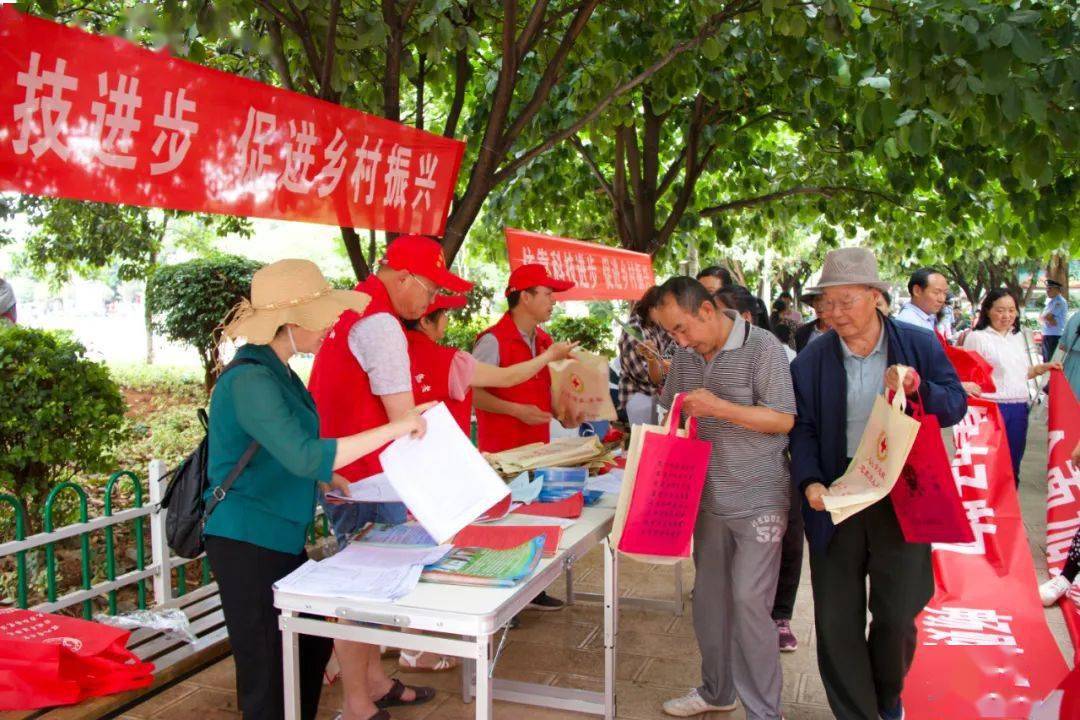 探索香港最快开奖结果，揭秘彩票文化与科技融合的奥秘香港最快开奖结果 开奖记录近15期
