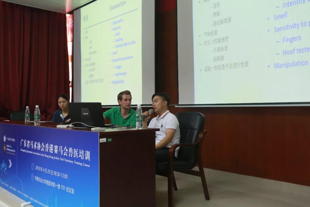 2019年香港马会资料大全，传承与创新并进的赛事盛宴