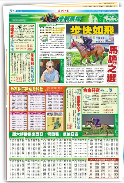 澳门王中王的传奇与未来，2048年全息展望澳门王中王100%的资料2024年009期