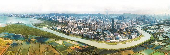 2019年香港开奖结果记录，一场数字与幸运的交织2019香港开奖结果记录查询