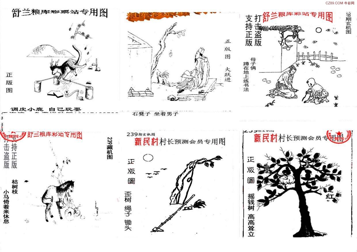 探索3D视觉盛宴，天牛图库汇总的深度解析天牛3d图库汇总大全