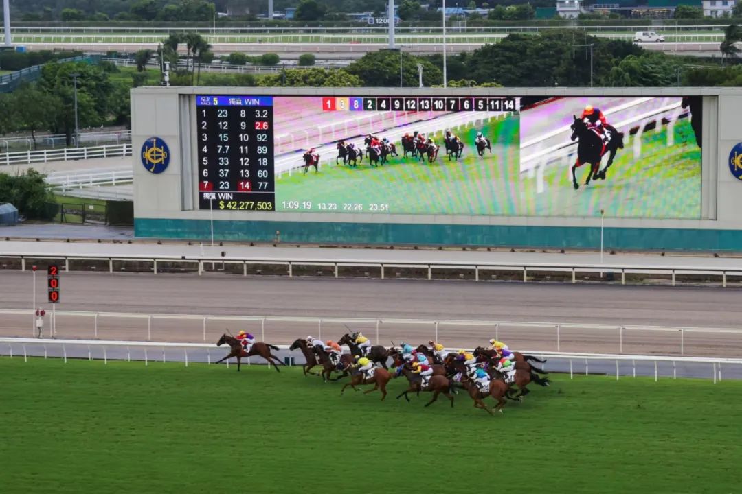 2019香港马会全年资料大全，回顾与展望香港2021年马会资料