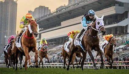 探索香港马会网站，赛马的激情与科技的融合香港免费公开资料大全