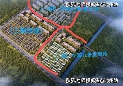 揭秘王中王的秘密，现场开奖结果背后的真相王中王现场开奖结果今天