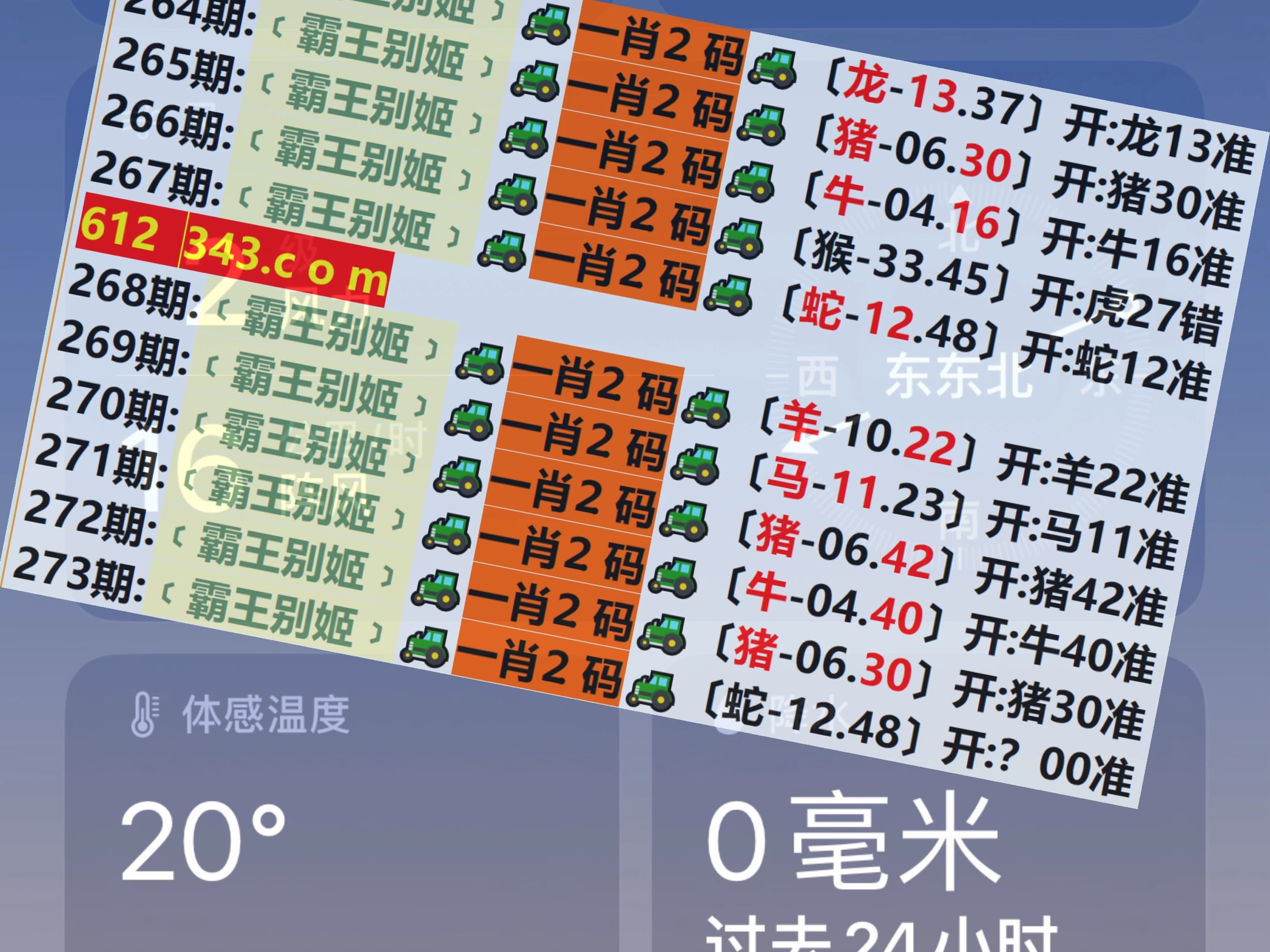 2049，新奥历史开奖记录的回望与展望—第138期特别报道2024新奥历史开奖记录28期3D