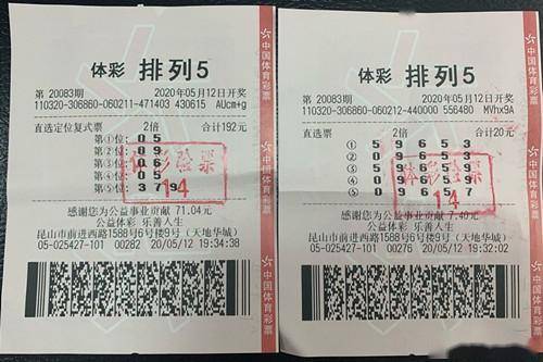 探索彩票世界，二四六天天好彩精选免费资料的价值与风险