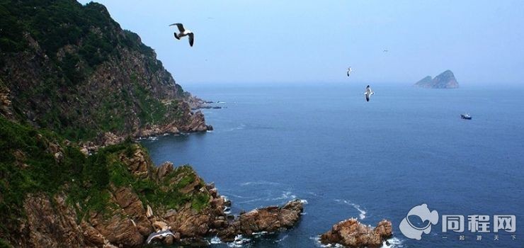大洋岛娱乐论坛—海岛上的一片数字乐园大洋岛娱乐论坛官网