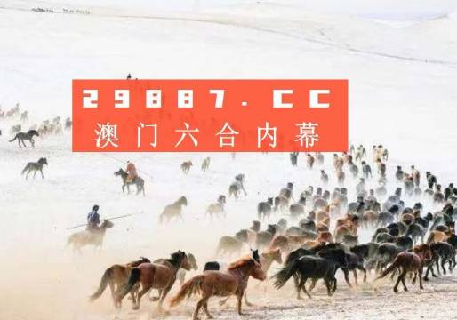 澳门彩49，揭秘最新开奖记录与背后的故事新澳门彩4949最新开奖记录查询表